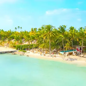 https://nomads-hostel-bar-isla-mujeres.quintano-roohotels.com